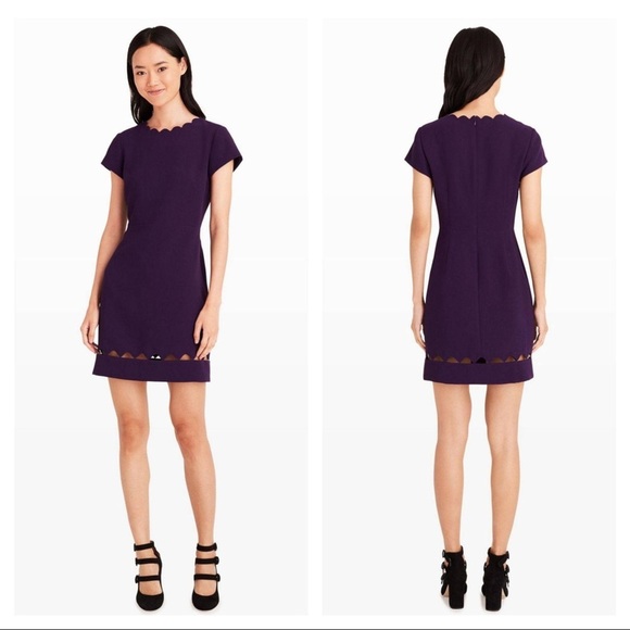 Club Monaco Dresses & Skirts - Club Monaco Milancey Scalloped Peekaboo Dress - 4 - Worn Once